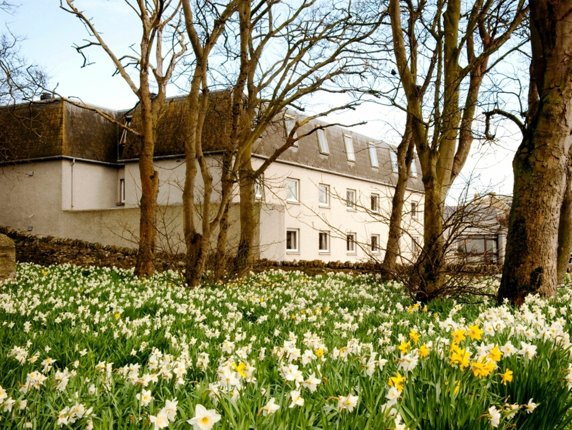 Norseman Hotel Wick  Buitenkant foto